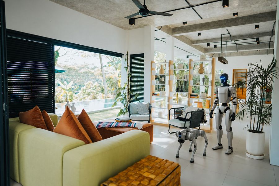 Robots & Villas