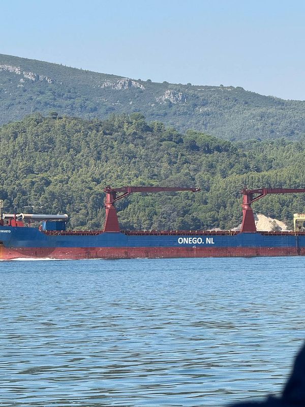 A large cargo ship is anchored in a calm body of water with a mountainous backdrop.