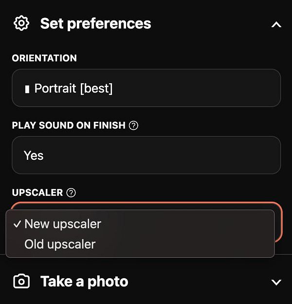 The image displays a user interface for setting preferences in a photo application.