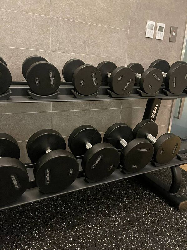 A rack of black dumbbells in a gym setting.