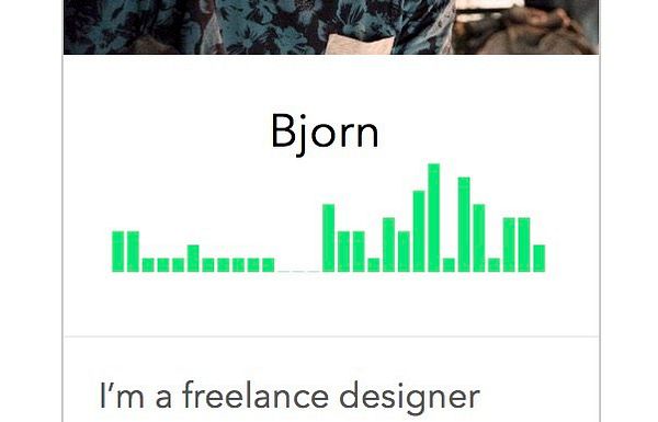 The image shows a profile section with a name, a green bar graph, and a job description.