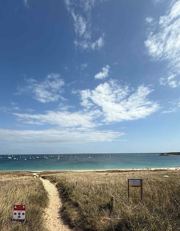 A scenic pathway leads to a beach with boats in the distance under a clear blue sky.