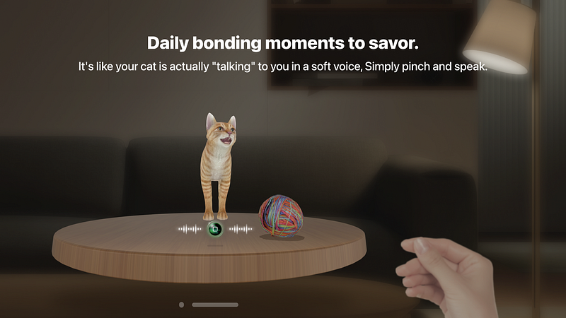 Catting : Meet Talking Cat | Vision Directory