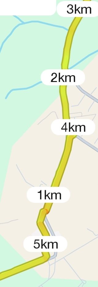 Photo of a running trail surrounded by greenery and fallen leaves under an overcast sky.