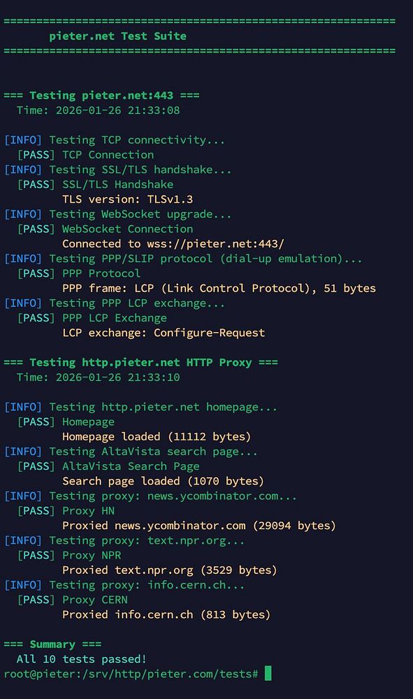 Screenshot of a terminal window showing network diagnostic commands and their outputs related to pieter.com and pieter.net ISPs.