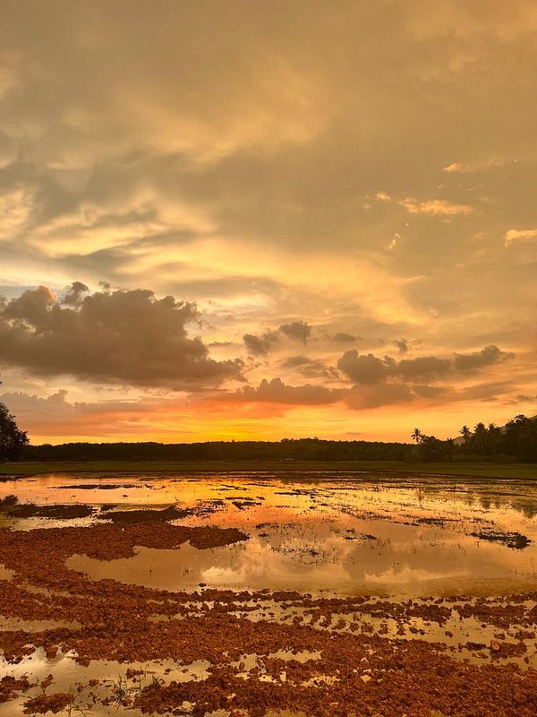 A stunning sunrise over a reflective landscape with clouds and water.