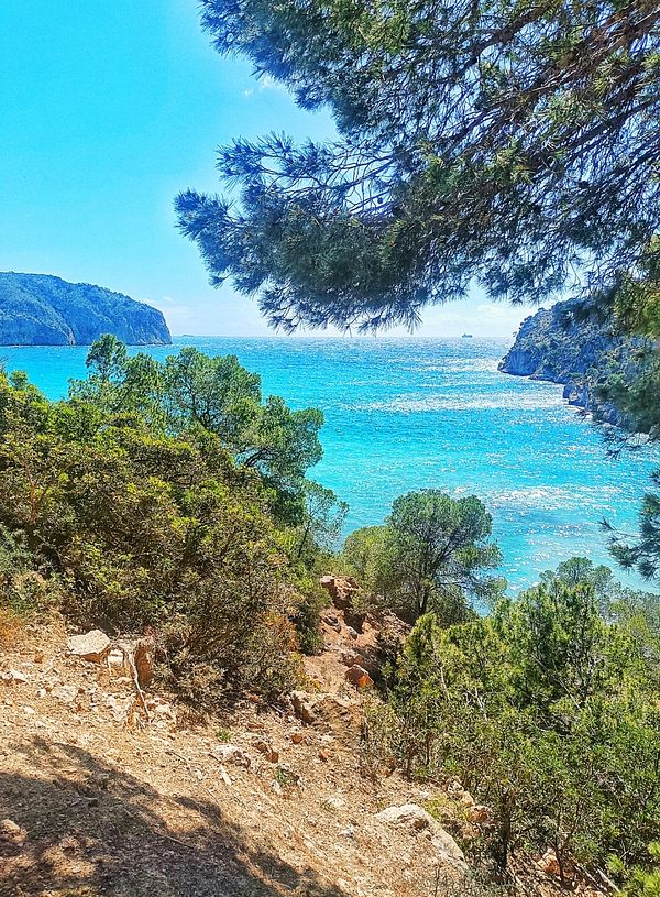 A scenic view of a coastal landscape featuring lush greenery and a sparkling blue sea.