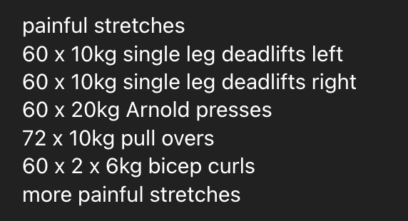 A workout plan detailing various exercises and their specifications.