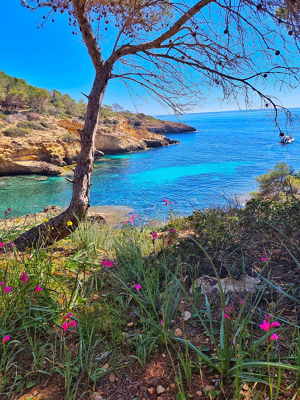 A scenic mountain landscape featuring two hikers walking along a narrow trail under a partly cloudy sky.