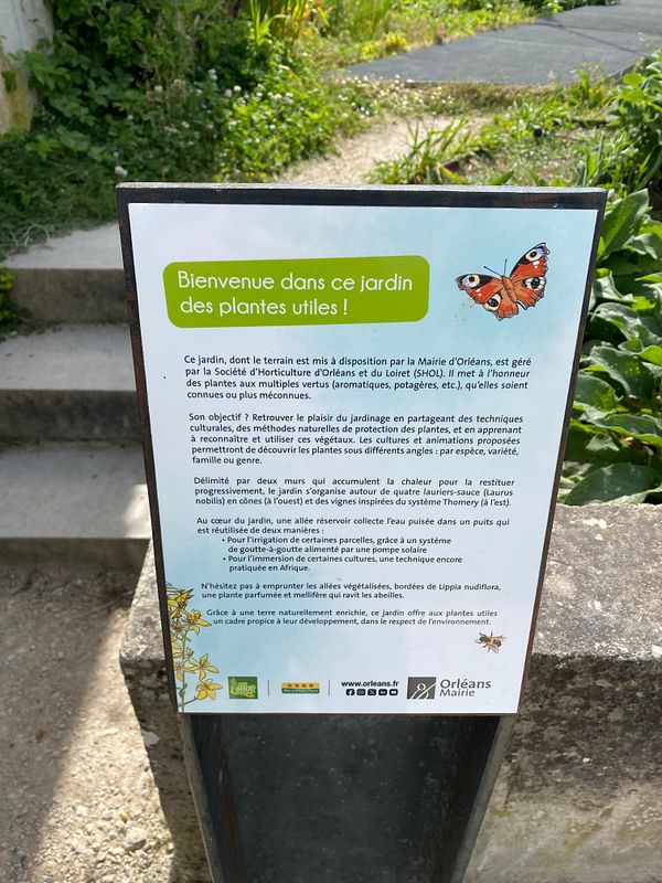 A lush garden scene with diverse plants and a paved ground, showcasing sustainable and natural landscaping techniques.