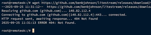 A terminal output showing a failed attempt to download a file from GitHub using wget.
