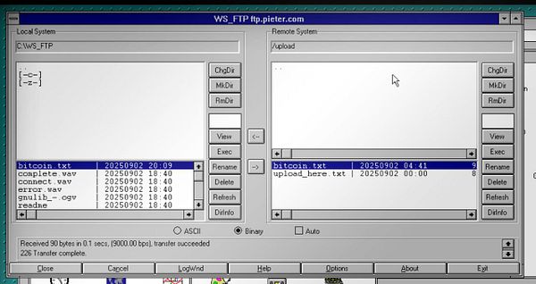 The image displays an FTP client interface showing local and remote file directories.
