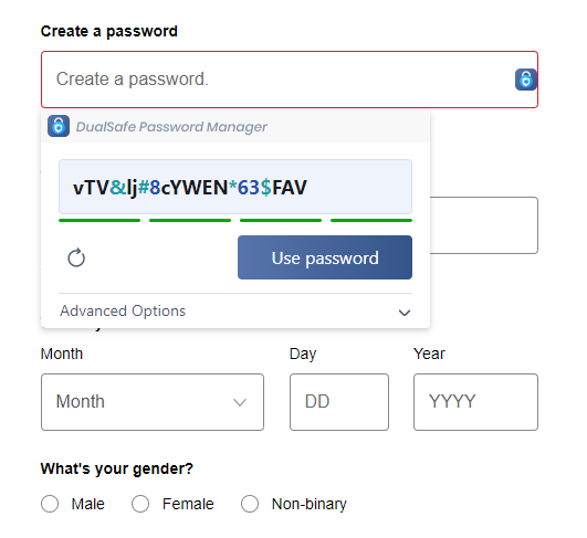 DualSafe Password Manager