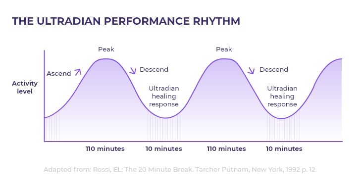 Ultradian