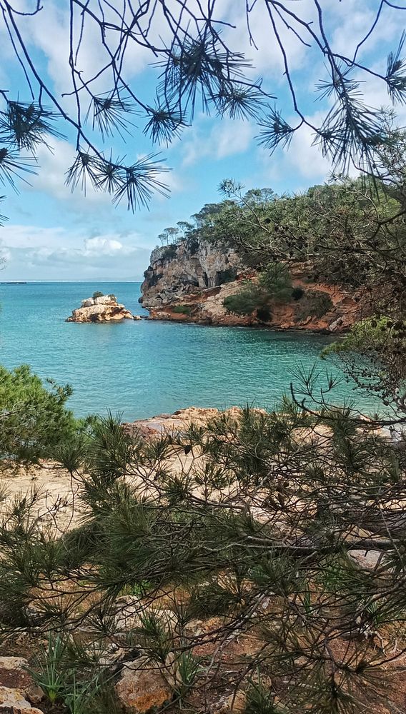 Scenic lakeside walkway with a wooden pier extending into calm water under a bright blue sky.