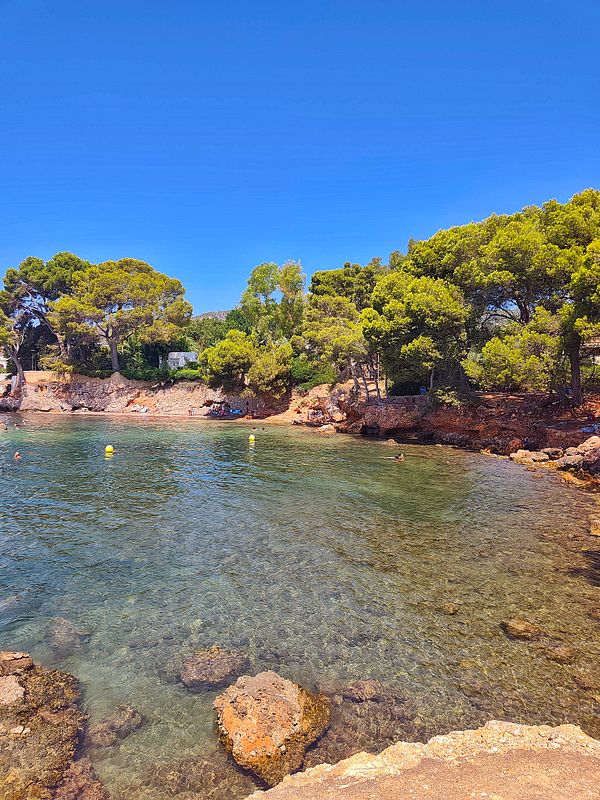 A man and woman snorkeling in clear, shallow tropical waters near a small rocky island with palm trees under a clear sky.