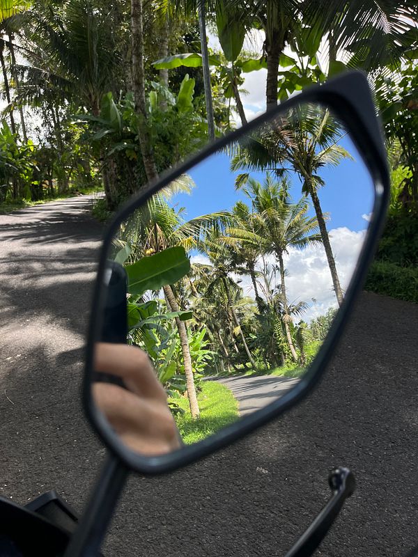 A scenic view of a winding road surrounded by lush greenery, captured in a motorcycle's side mirror.