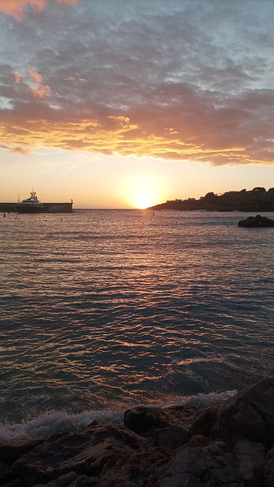 Sunset over a calm body of water with silhouetted trees on the horizon.