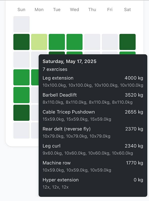 A detailed workout log for a gym session on May 17, 2025, displaying various exercises and their corresponding weights.