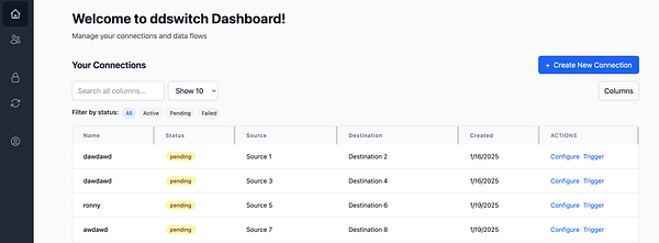 A dashboard interface displaying connection statuses for a data management tool.