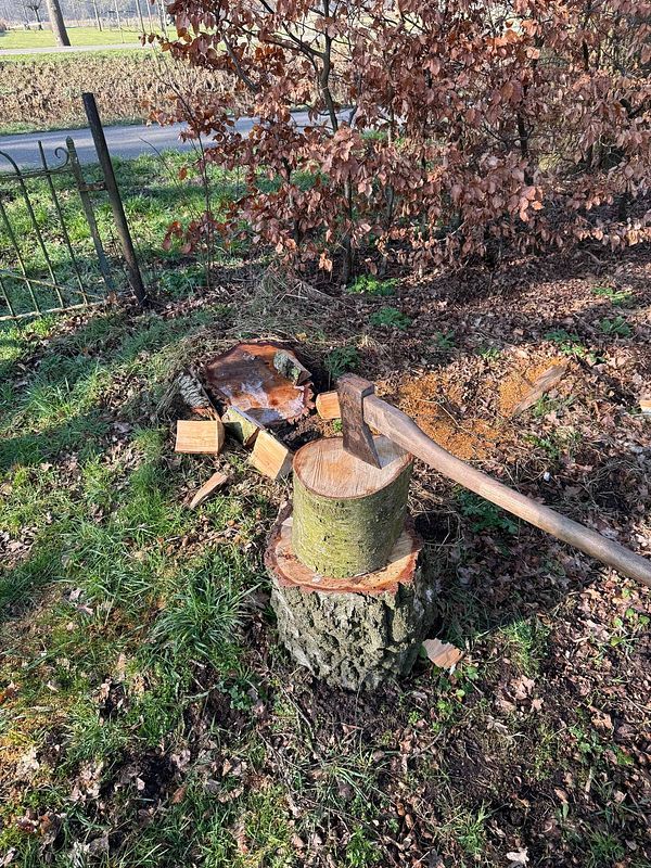 A scene depicting a wood chopping setup in a natural outdoor setting.