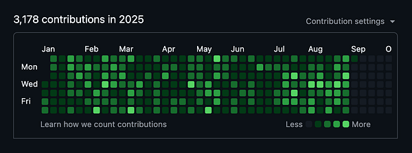 A contribution graph displaying activity over the months of 2025.