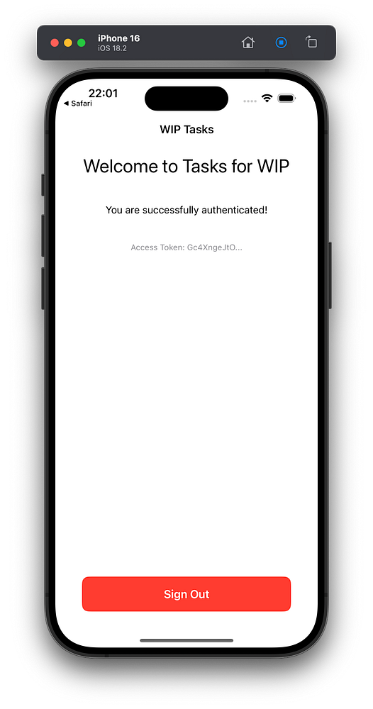 The image displays a mobile app interface indicating successful authentication.