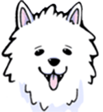 FileDog.io