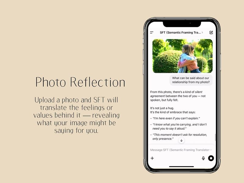 SFT（Semantic Framing Translator）