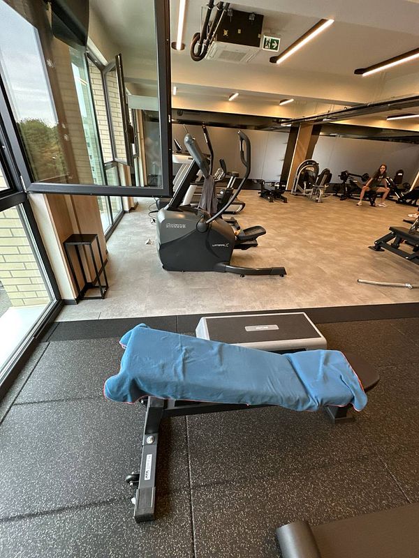A modern gym interior featuring various exercise equipment and a workout bench.