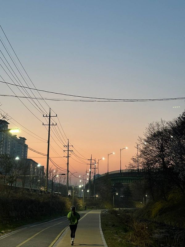A winding paved path alongside a tranquil canal lined with cherry blossom trees in full bloom under a bright blue sky.