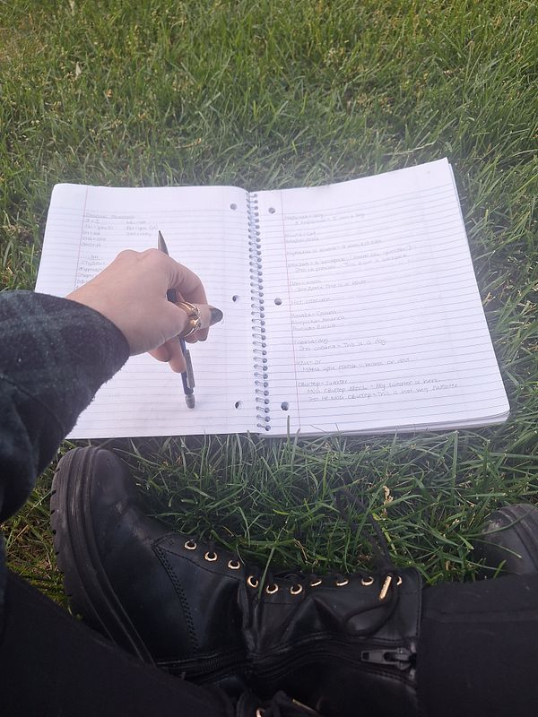A person is studying Russian outdoors on grass during sunset, with a notebook and pen in hand.