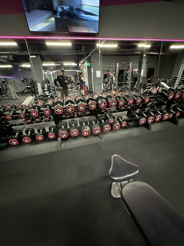 A gym interior featuring a row of dumbbells and workout equipment.
