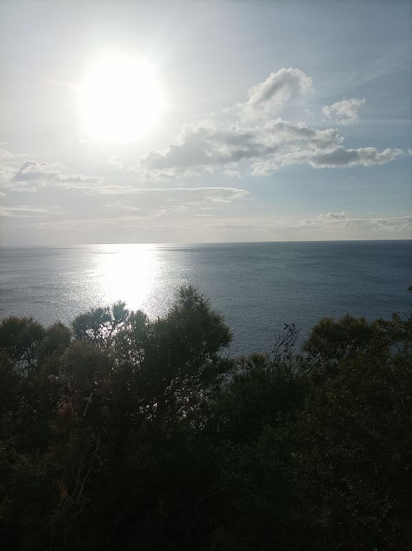 A scenic view of the ocean under a bright sun with clouds in the sky.