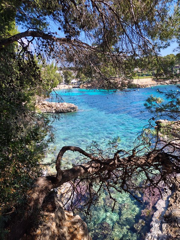 A scenic view of a vast canyon with layered rock formations under a sky with scattered clouds.