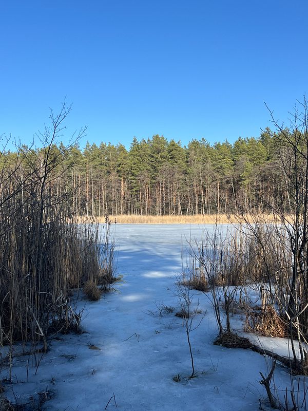 A group of people walking a herd of sheep along a grassy roadside with mountainous scenery in the background.