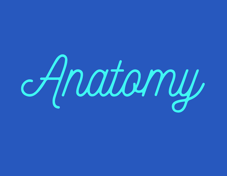 Anatomy Podcasts