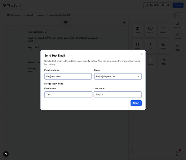 The image displays a user interface for sending a test email using TinySend.