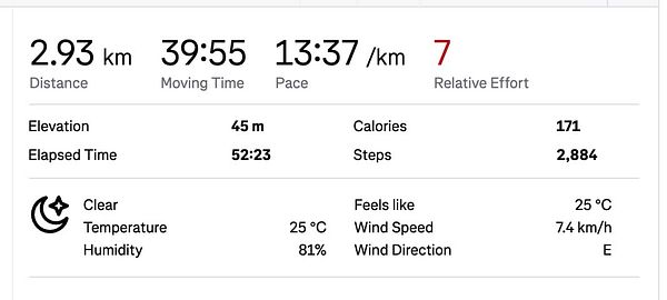 The image displays detailed statistics from a night walk activity.