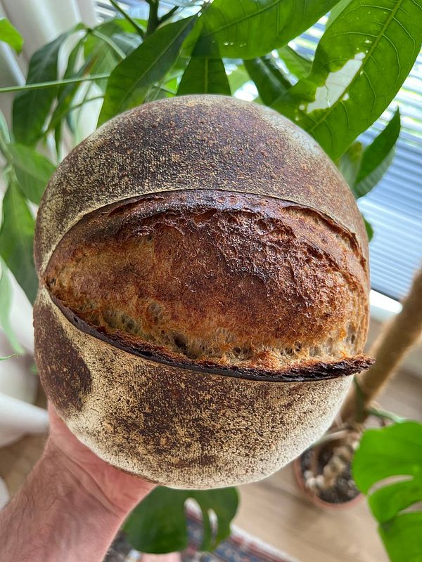 A freshly baked round sourdough loaf is being held in a person's hand.