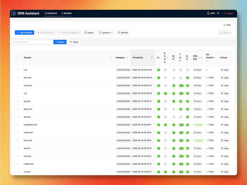 DNS Assistant