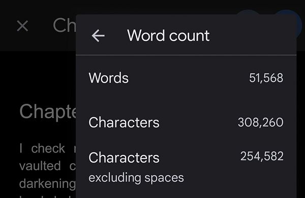 The image displays a word count interface showing detailed statistics for a writing project.