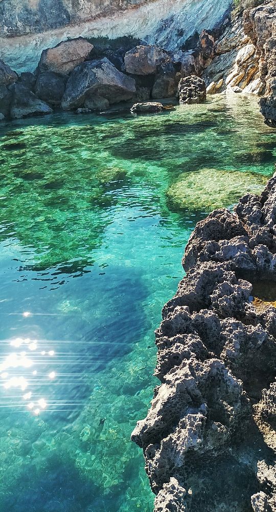 A man and a woman walking on a tree-lined path in an outdoor park setting during autumn.