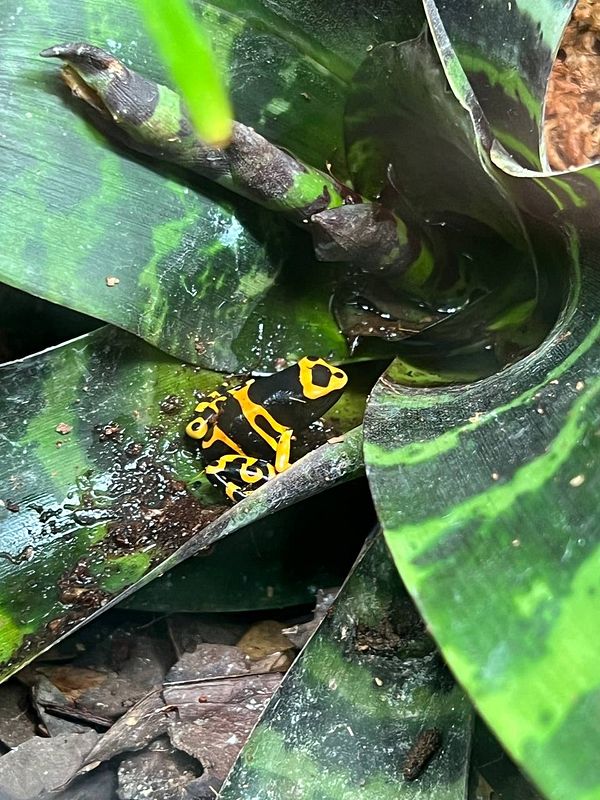 Interior of a fish store with tanks and aquarium supplies.