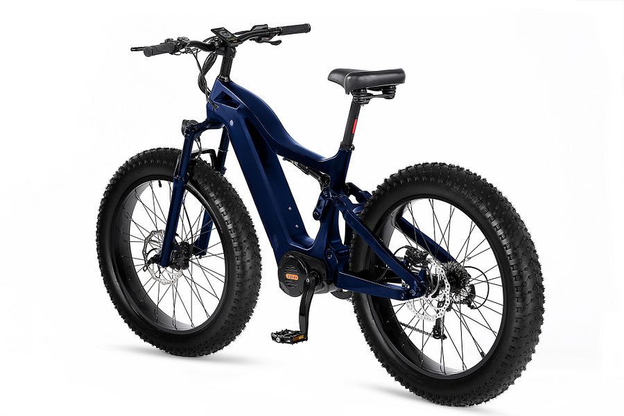 Luup-X eBike