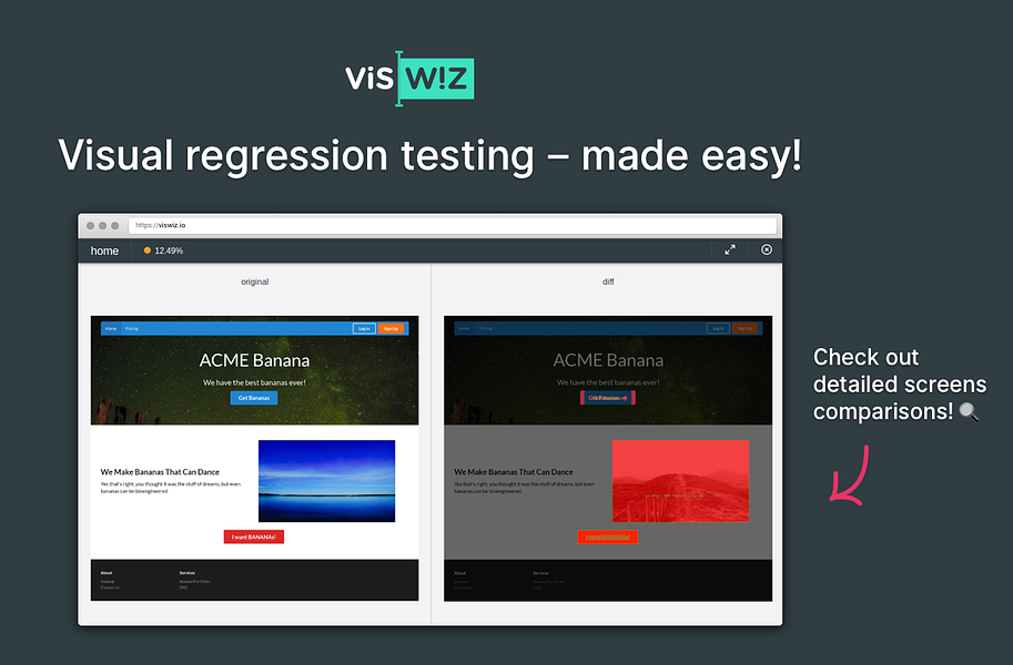 VisWiz.io