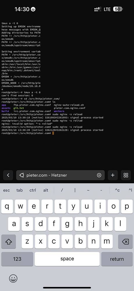 A terminal interface displaying commands and outputs related to Nginx configuration.