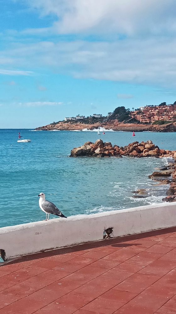 Sunset view of a wooden pier extending into the calm ocean with cloudy but colorful sky.