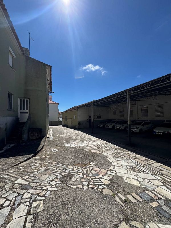 A sunlit street with a cobblestone path and buildings on either side.