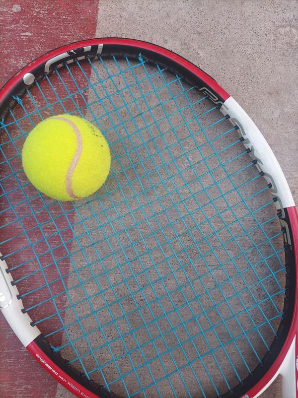 A tennis racket with a bright yellow tennis ball resting on its strings.